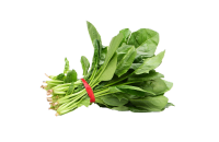 Spinach